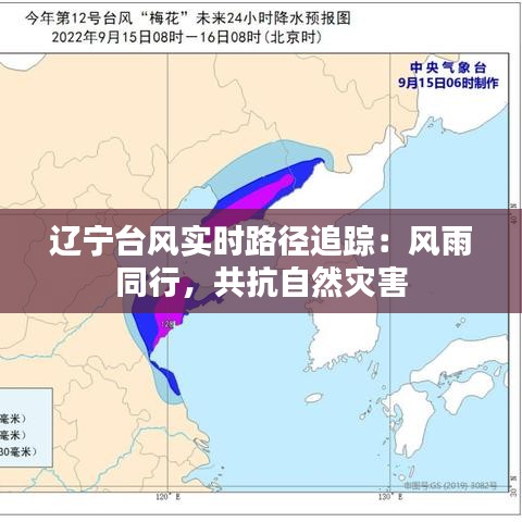 辽宁台风海棠最新动态，影响及应对措施全解析