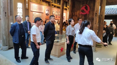 屏南陈道珍最新动态，探寻背后的故事与最新进展